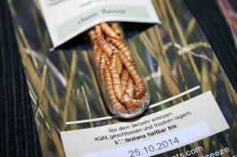 Meuniere-Mehlwürmer