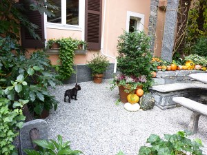 Ticino octobre 2011 024
