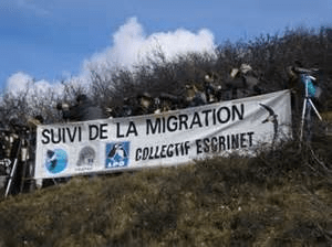 Escrinet ganzer text