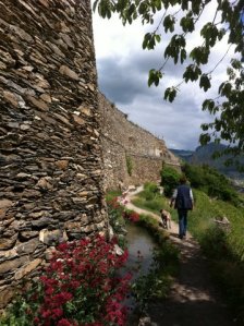 Claudia et Truffo sur le bisse de Clavau, Sion