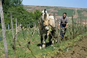 csm_20071115_04_01_006_a4_2e8f178b0d