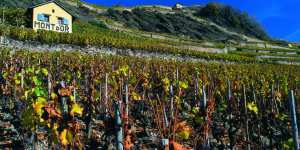 mont_dor_les_terrasses_web